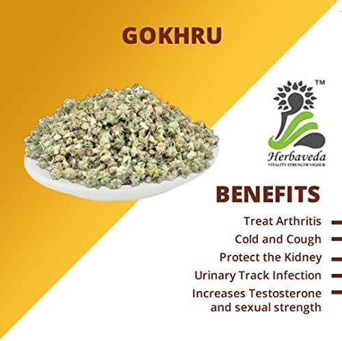 Herbaveda - Gokhru Bada (200 g) Gokhroo Bada | Gokshura | Graines de Tribulus Terrestris | Petits Caltrops | Sabut