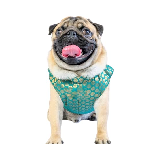 Dog Sherwani, Dog Dress, Dog Sherwani or Dog Wedding Dress, Pet Outfit for Dogs, Dog Clothes, Elegant Dog Costume, Dog Dress for Male Dogs(Olive Green) (18) (B0BLK7PXHF) Amazon Price History, Amazon Price Tracker