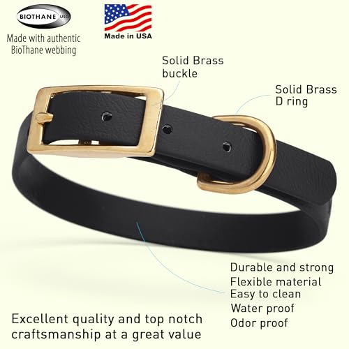 Image of Viper Biothane Heavy Duty Waterproof Dog Collar Strong Coated Nylon Webbing w /Solid Brass Hardware Odor-Proof Easy to Clean High Performance Fits Small Medium or Large Dogs, Black