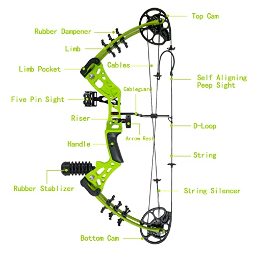 WUXLISTY Youth Compound Bow Set 15-45 Lbs for Teens and Beginner, Package with Archery Hunting Equipment, 5 Pin Sight, Max Speed 320fps, Adjustable, Right Hand, Green