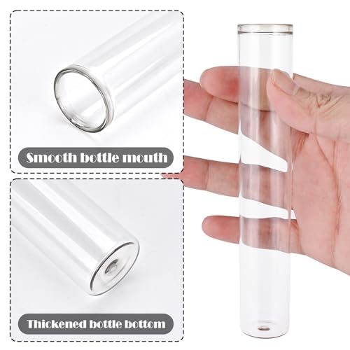 Tigvio Desktop Glass Plant Propagation Station with 5 Test Tubes in Wooden St...