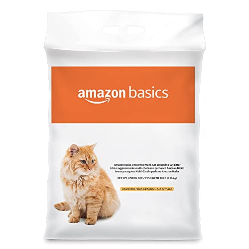 Amazon Best Sellers Best Cat Litter