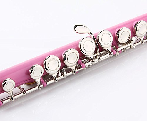 Image of Glory Closed Hole C Flute With Case, Tuning Rod and Cloth and Gloves, Light pink