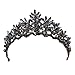 Produktbild Frcolor Vintage Barock Krone Hochzeit Braut Stirnband Schwarz Kristall Tiara Kopfschmuck für Prom Pageant Geburtstagsfeier