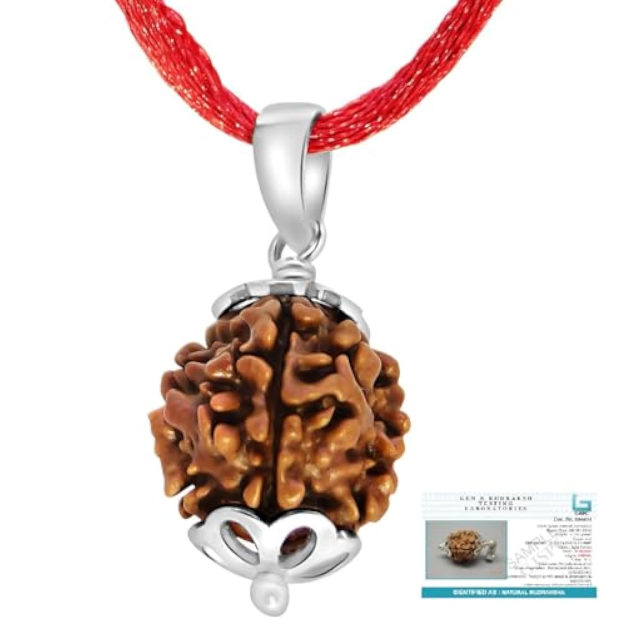 4 Mukhi Original Nepali Rudraksha Pendant with 925 Silver, Spiritual Gift