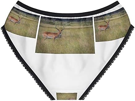 Lechwe Starring Panties, Lechwe Starring Underwear, Briefs, Cotton Briefs, Funny Underwear, Panties For Women