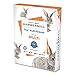 Hammermill Paper, Fore Multipurpose Paper, 8.5 x 11 Paper, Letter Size, 24lb Paper, 96 Bright, 1 Ream / 500 Sheets (103283R) Acid Free Paper