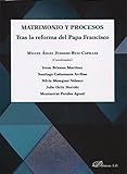  Matrimonio y Procesos . Tras la reforma del Papa Francisco (SIN COLECCION)