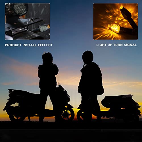 RUIZHI Blinker Motorrad, 4 Stück Blinklicht Motorrad LED,12/24V Blinklichter für Allgemeine LED-Blinker, LEDBlinker Motorrads E50 Geprüft, Motorradlichter für Tag und Nacht mit LEDKontrollleuchte