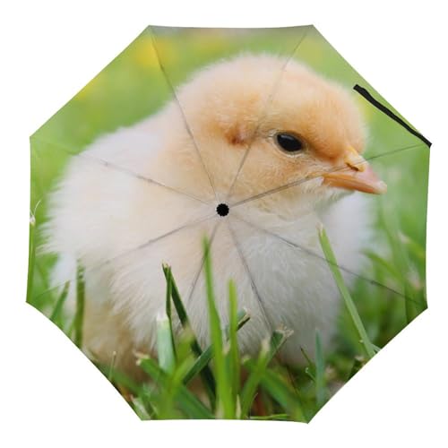 Parapluie automatique compact pliant Poussin Des Prés voyage femme homme