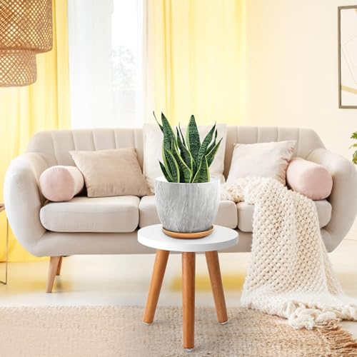 Image of WOOYNEX WOODEN Multifunctional Plant- Stand - Modern Home Decor, Wood Planter Holder for Flower Pots, For Living Room Bedroom Balcony Indoor and Outdoor - Kids Stool-(White)