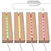 4 pezzi base a LED, base luminosa a LED, base di display per luci a LED, rettangolare in legno, supporto per luce in legno, base illuminata, USB, per blocchi di vetro, cristalli (colorati) immagine