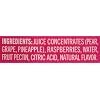 Polaner All Fruit Spreadable Fruit, Red Raspberry, 10 Ounce