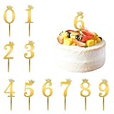ケーキトッパー 誕生日 数字 0から9 10点セット ゴルード ケーキ挿入カード ケーキ飾り ケーキ デコレーション カップケーキ お祝い 記念日 記念撮影 バースデーケーキ 飾り
