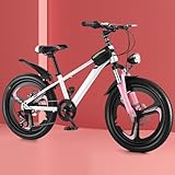 【Mountain Bike con Assorbimento Degli Urti】Forcella Ammortizzata per Aoother-Feeliride, Puòcomodamente con Varie Sezioni Stradali e Ha un Buon Effetto Di Assorbimento Degli Urti.