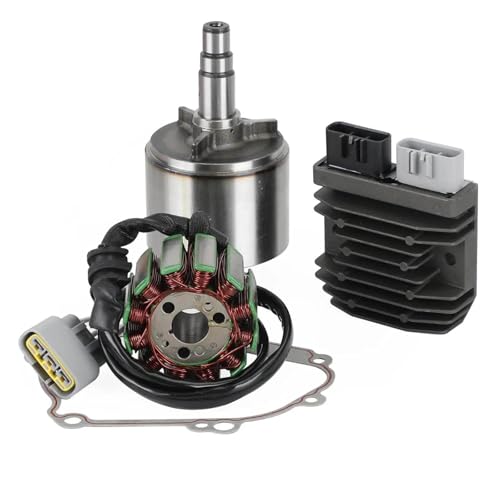 Stator et régulateur WOODEY pour stabiliser la charge de votre R1