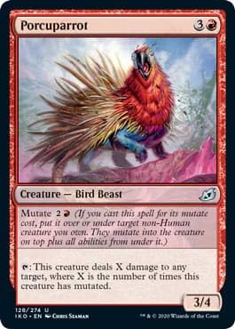 Magic: The Gathering - Porcuparrot - Foil - Ikoria: Lair of Behemoths