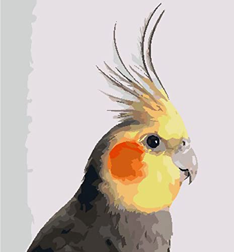 Peinture au diamant 5D oiseau : le cadeau d'anniversaire créatif en broderie strass