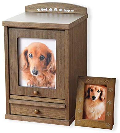 F2TCY6FEybgdyl[tHgt[tFVEu[z~jd Ƌd A{bNX [  ybg{ Ճ}[N ʐ^ ꖳ (_[NuE, TCY)