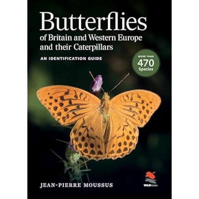 Butterflies of Britain and Western Europe and Their Caterpillars: An Identification Guide