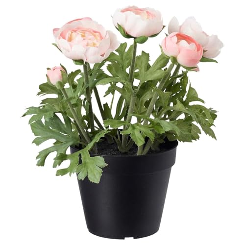 IKEA FEJKA - Planta artificial en maceta, 12 cm, para interior/exterior/ranúnculo rosa