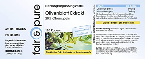 Extrait de feuille d'olivier standardisé à 20% d'oleuropéine - 2