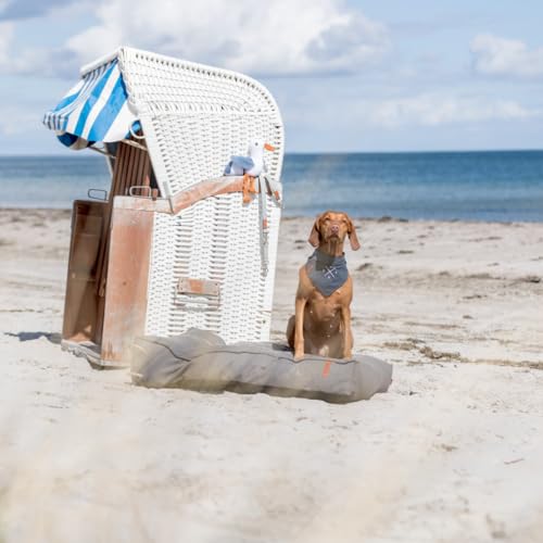 Trixie Hundeleine aus Leder BE Nordic Leine Leder XS-L, 1,20 m ø 8 mm in grau - Lederleine für Hunde mit nordischem Charme - für sehr kleine bis große Hunde - 17460