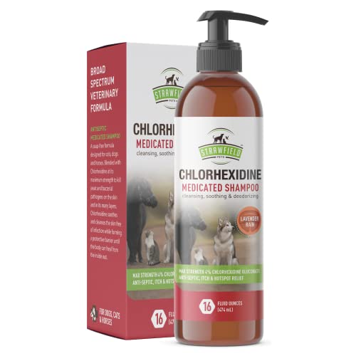 Top 10 Best Chlorhexidine Shampoo For Dogs Reviews & Buying Guide Katynel