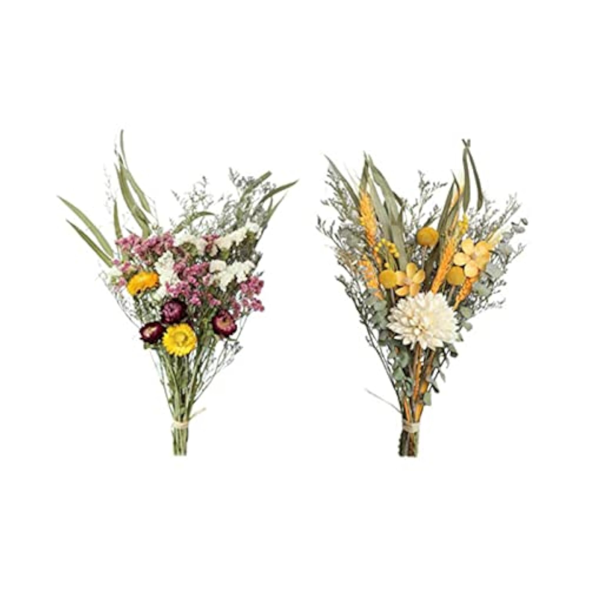 2Pcs Natural Dried Flower Crafts for Home