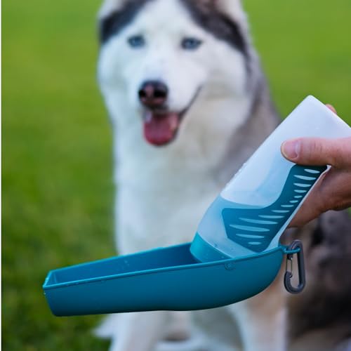 Messy Mutts Travel Water Bottle with Removable Bowl, 16oz / 500mL, Teal - Image 3