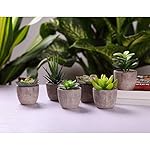T4U 6er Set Klein Kunstpflanze Sukkulenten Künstlich Dekorative Kunstpflanzen wie echt Pflanzen mit Topf, Deko Fake Plant für Hochzeit Büro Zuhause Wohnung Wohnzimmer Badezimmer Dekoration – Bild 3