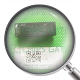 CG CHIPS GATE