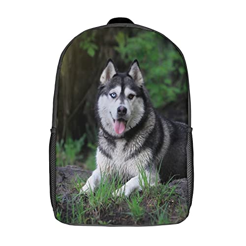 Sac à dos d'école pour garçons adolescents grand format imprimé animalier