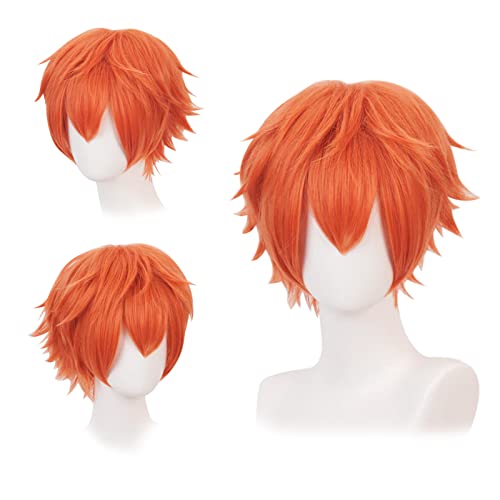 Gairyan Short Ginger Wig Cosplay Wig Unisex Anime Cosplay Wigs for Women/Men Straight Fluffy Wig Costume Theme Party Fancy Dress Wigs Halloween Wig Comic-Con Costumes Accessories