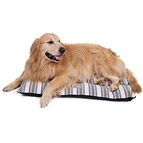 Pickorruchos Risk Almofada para Cães, Verde, 1