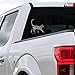 Cheerful Cat Pattern Car Bumper Sticker Decal 5