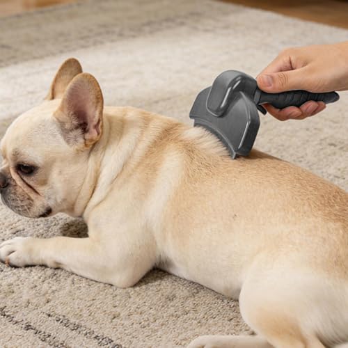 Cepillo para gatos peine autodesenredante para el aseo de cachorros con masaje 2