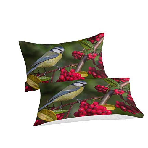 Housse de couette mésange animale imprimée 3D parure de lit microfibre double 200x200cm