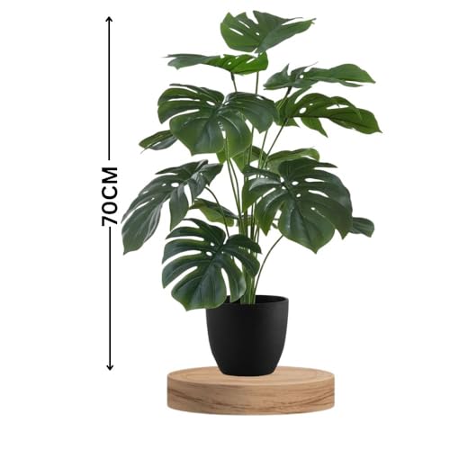 De Gardenia Artificial Money Plant with Pot - 70 cm Tall, 12 Leaves, Lifelike Green Ornamental Plant for Interior, Home, and Office Decor|Palm Leaves Artificial Tropical Monstera,Faux Silk