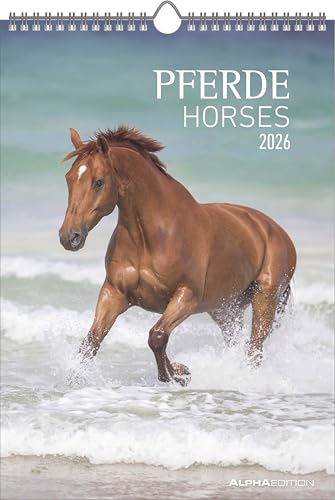 Alpha Edition - Pferde Kalender 2026 – Wandkalender &...