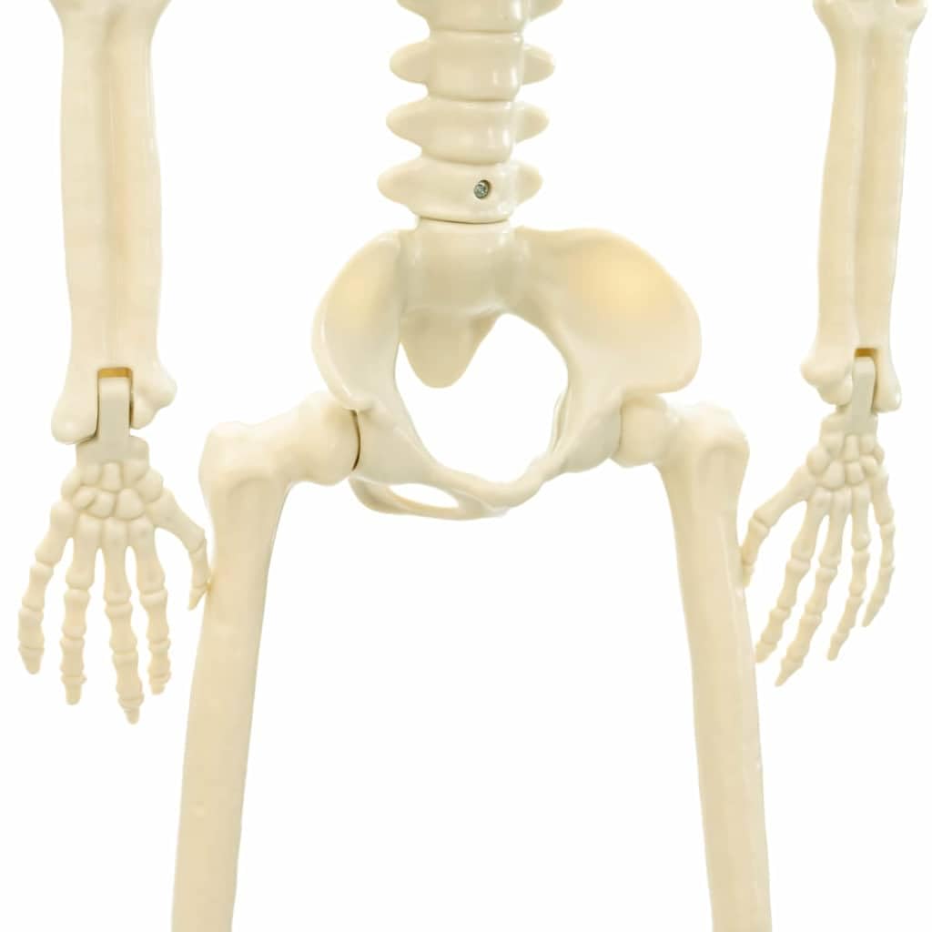 vidaXL Scheletro di Halloween 2 pz Bianco 85 cm PVC