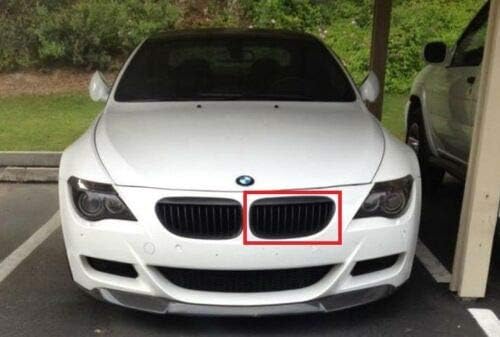 BMW Genuine Grill/Grille LEFT for 645Ci 650i M6