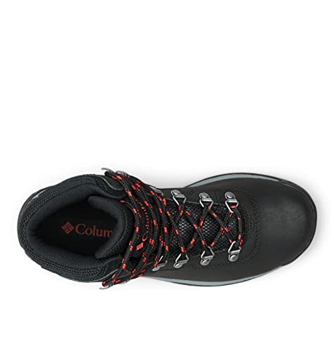 Columbia Women's Newton Ridge Plus Waterproof Hiking Boot, Breathable, High-Traction Grip
