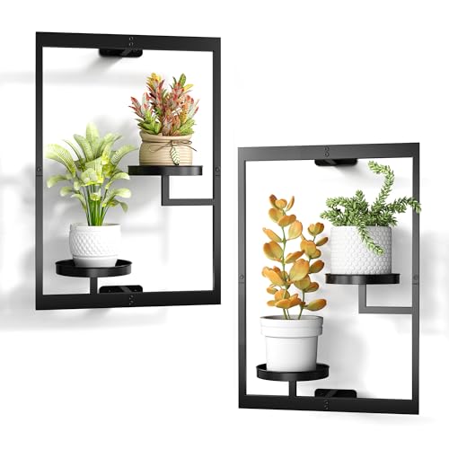 2 Pack Picture Frame Wall Plant Holder, Window Plant Hanger Indoo...