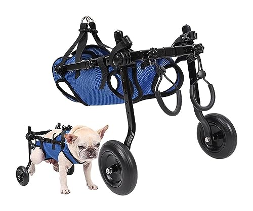 Poussette pour petits chiens paralysés soulagement des pattes arrières