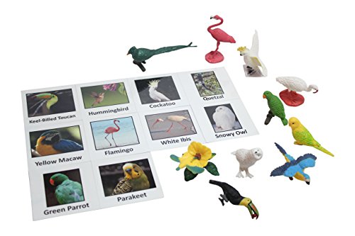Curious Minds Busy Bags Montessori Tropical Bird Animal Match - Miniature Exotic Bird Animal Toy Figurines With Matching Cards Preschool Matching Game #TOP2