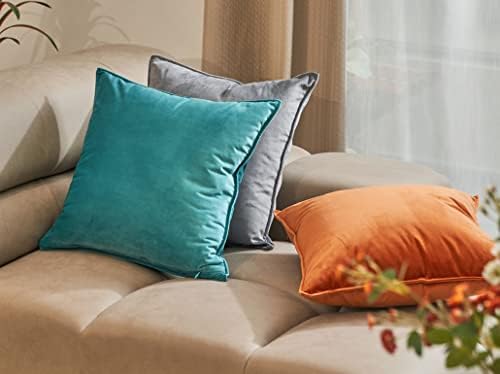 Lutanky Pack of 2 Velvet Cushion Covers Light Grey Decorative Rectangle Throw Pillow Case Soft Flanges Pillowcases for Sofa Bedroom with Invisible Zipper 12x20 Inch 30 x 50 cm