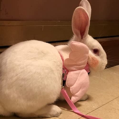Verstellbare Kaninchengeschirr Leine Nylon Bunny Walk Pet Outdoor Walk Leine für Samll Bunny Cat Kätzchen Frettchen Welpen und andere kleine Haustiere Wandern Laufen Joggen Geschickt und professionell
