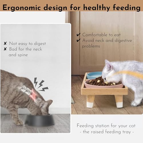 JAZUIHA Katzennapf Erhöht inkl. 2 Flache und breite Schalen, Futterstation mit Holzständer und Silikon Futternapf für Katzen D 18 cm