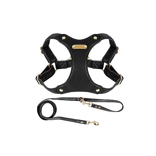 SUNCN pn[lXAhbOn[lXApƃ[h̃ZbgA\tgU[AȂAʋCAȂA\Aϋv̂A^A^AɓKĂ܂ ȒPȎUg[jOybgpi (M,ubN)